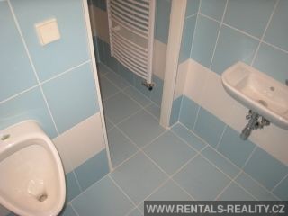 Pic 10