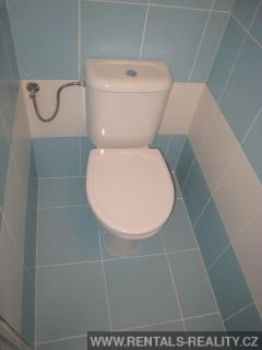 Pic 11