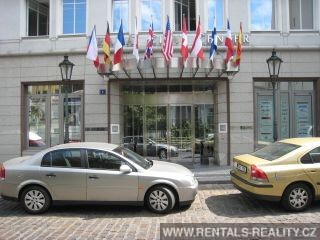 Pic 11