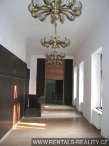 Pic 8