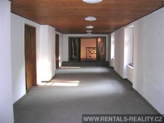 Pic 10