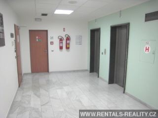 Pic 16