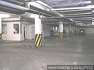 Pic 19