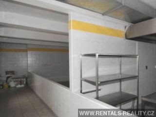 Pic 11