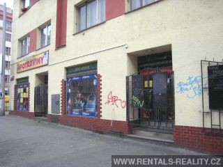 Pic 11