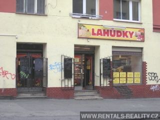 Pic 12