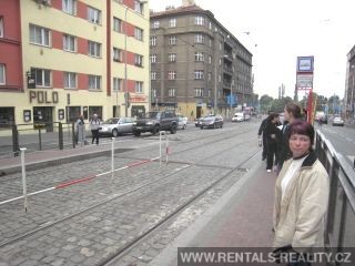 Pic 17