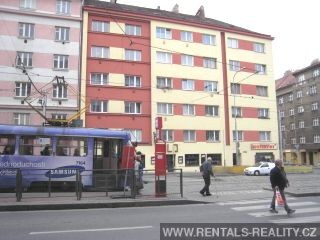 Pic 18