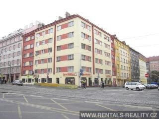Pic  20