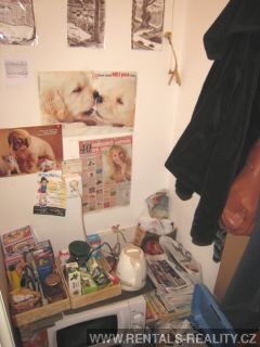 Pic 18