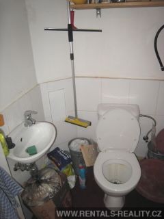 Pic 19