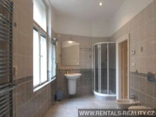 Pic 11