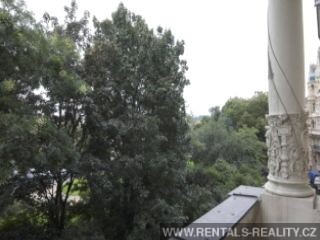 Pic 15