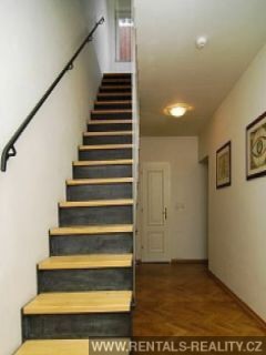 Pic 11