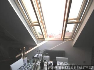 Pic 5