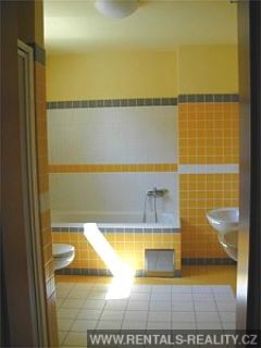 Pic 8