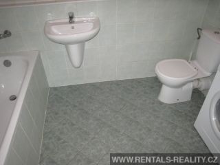 Pic 10