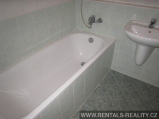 Pic 11