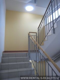 Pic 17