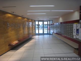 Pic 19
