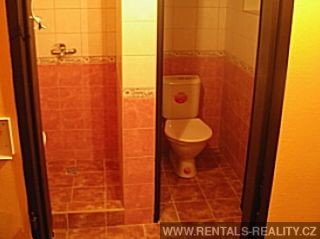 Pic 12