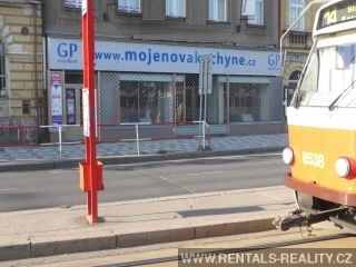 Pic 16
