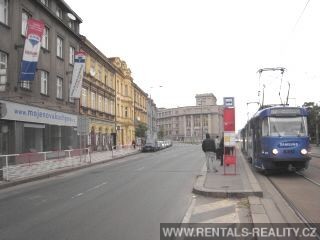 Pic 17