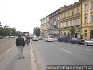 Pic 18