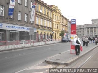 Pic 19