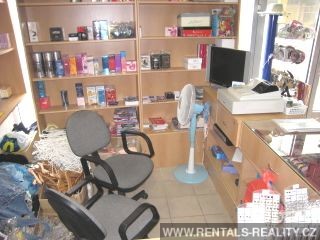 Pic 11