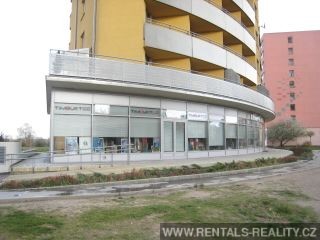 Pic 15