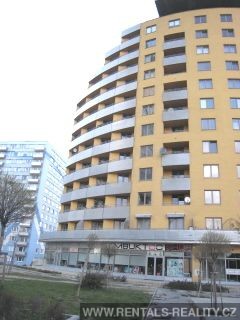 Pic 16
