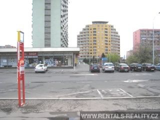 Pic 20