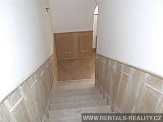 Pic 5