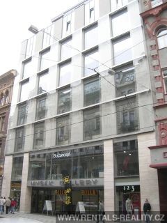 Pic 13