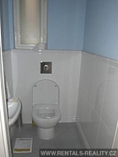 Pic 5