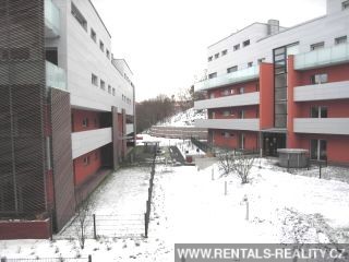 Pic 17