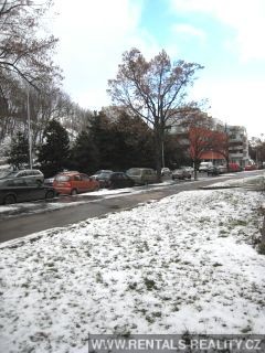 Pic 20