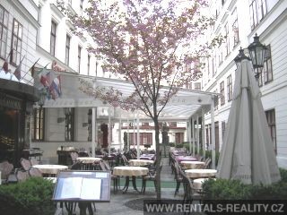 Pic 1