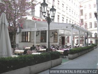 Pic 6