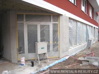 Pic 6