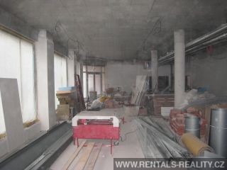Pic 10