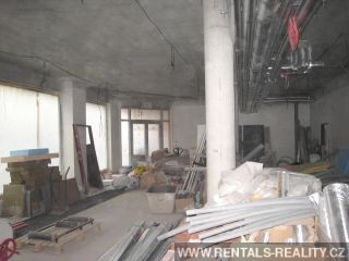 Pic 11