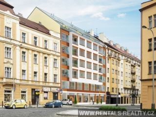 Pic 19