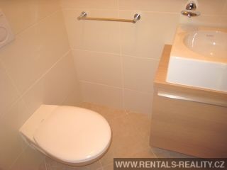 Pic 11