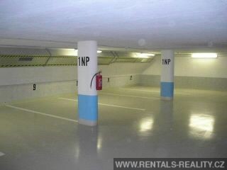 Pic 16