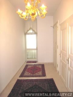 Pic 7