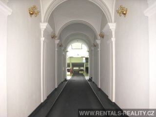Pic 14