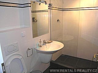 Pic 10