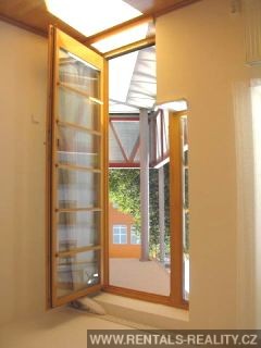 Pic 8